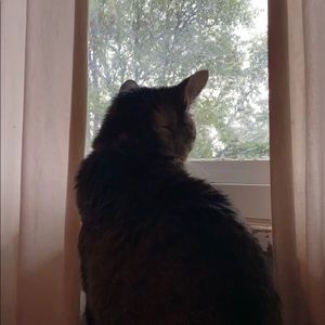 Meet your Posher, Mary